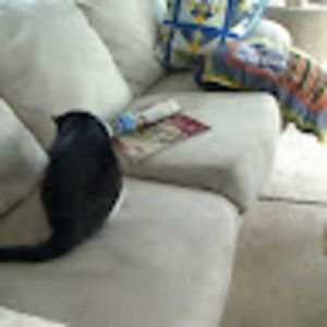 Meet your Posher, Maggie